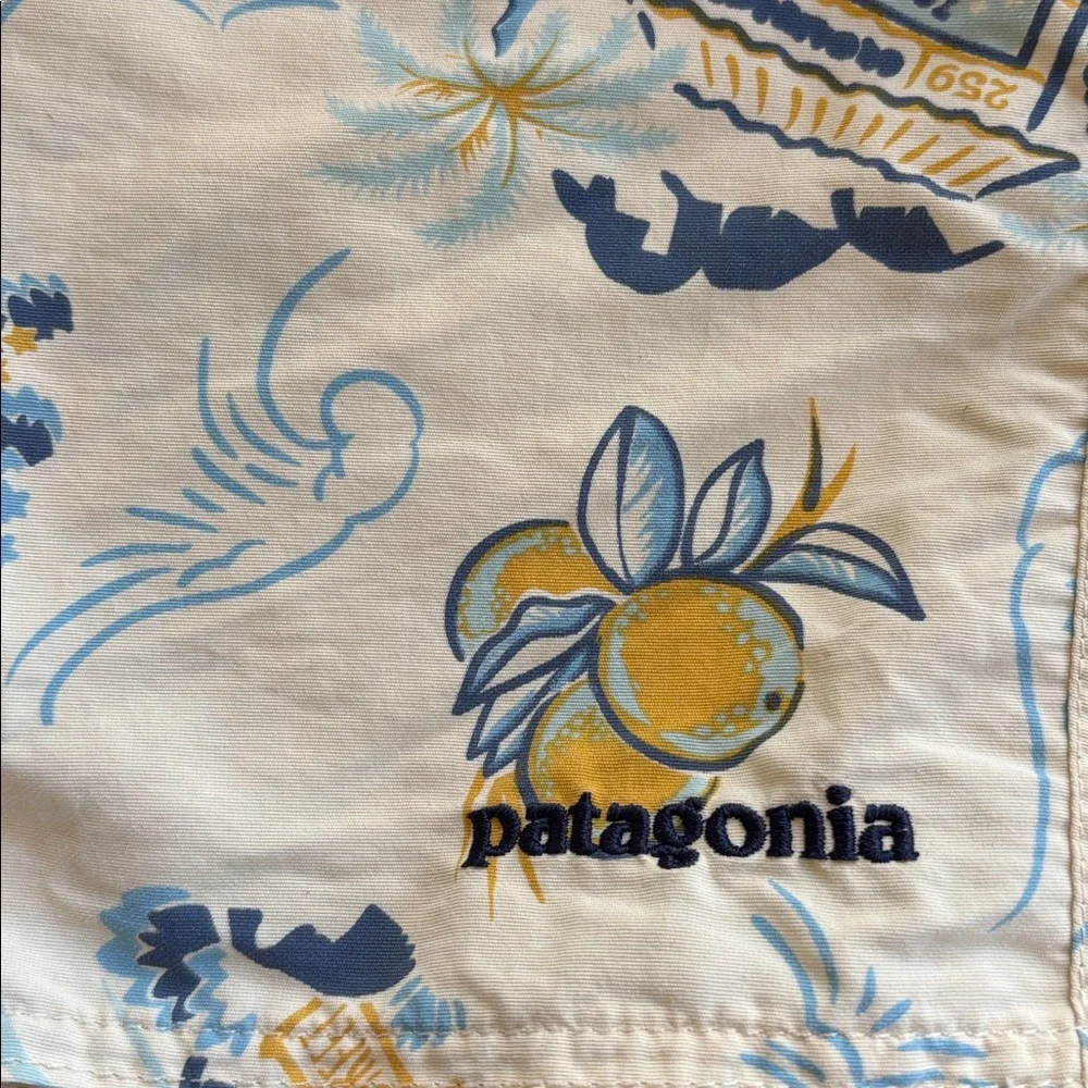 Patagonia Mango‎ Beach Pattern Palm Trees Stretch Board Shorts Size 36